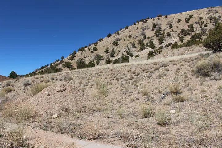 Arid hillside featuring scattered evergreen trees and sparse vegetation under a clear blue sky