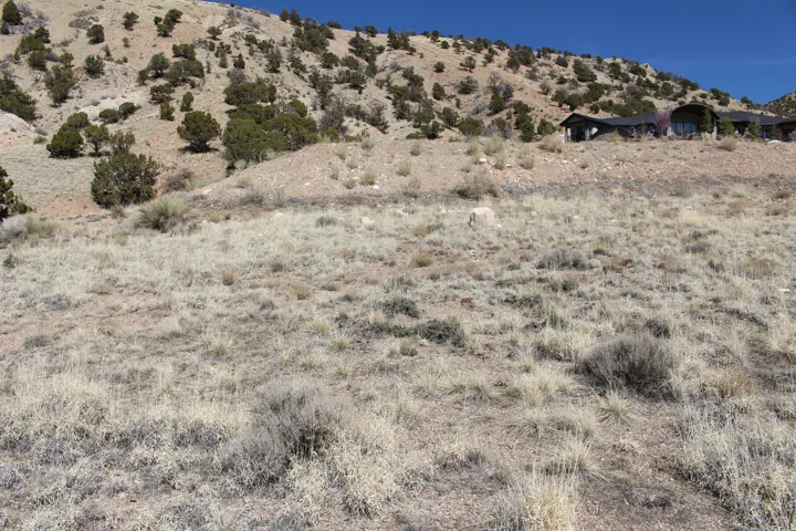 Hillside property with natural desert landscaping and scattered evergreen trees