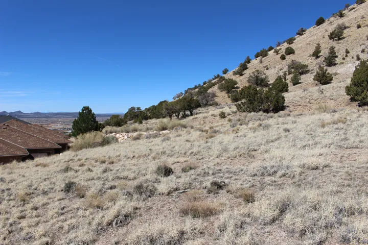 Sloping terrain featuring natural arid landscaping with scattered native shrubs and small trees