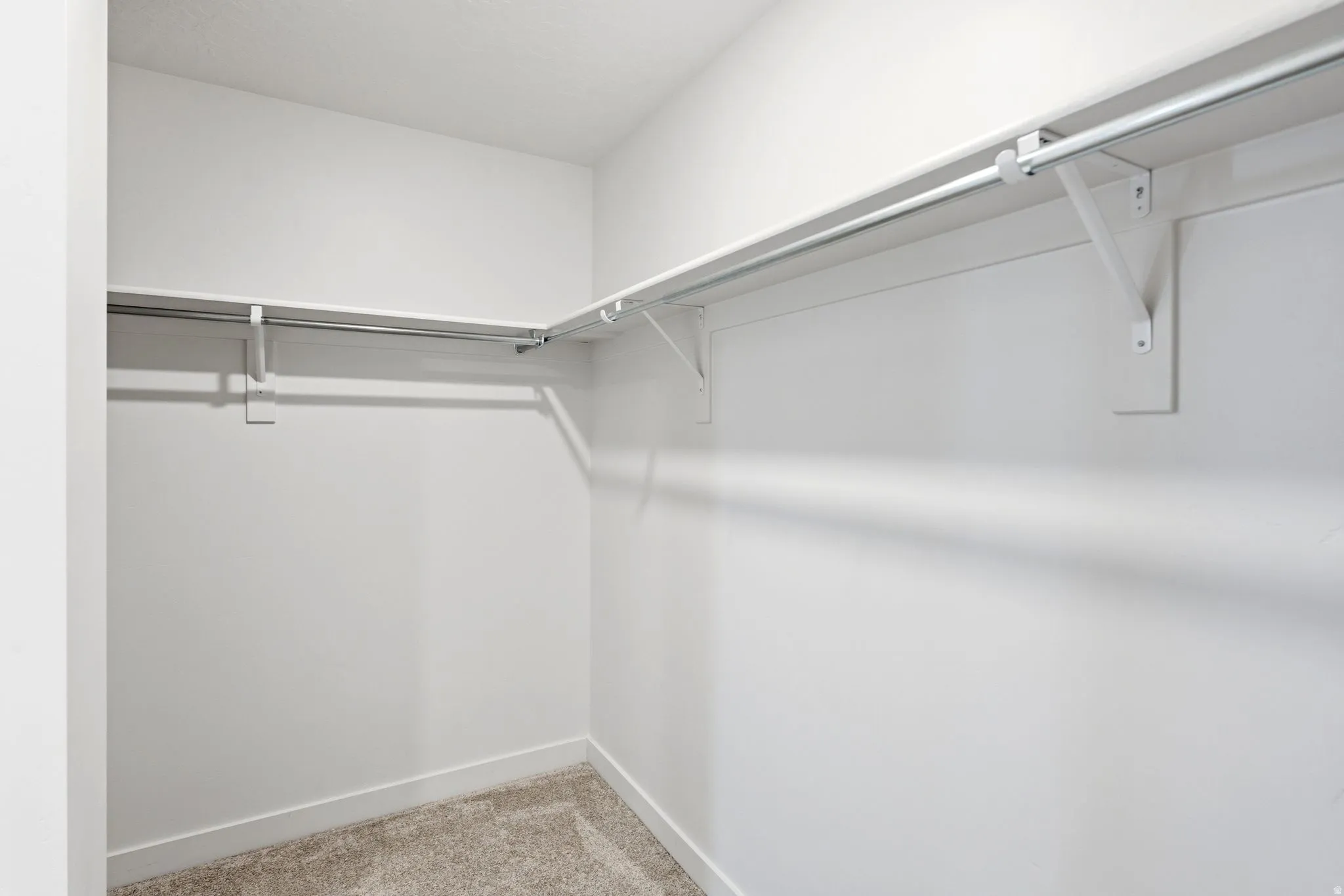 Walk-in closet featuring carpeted flooring and white walls
