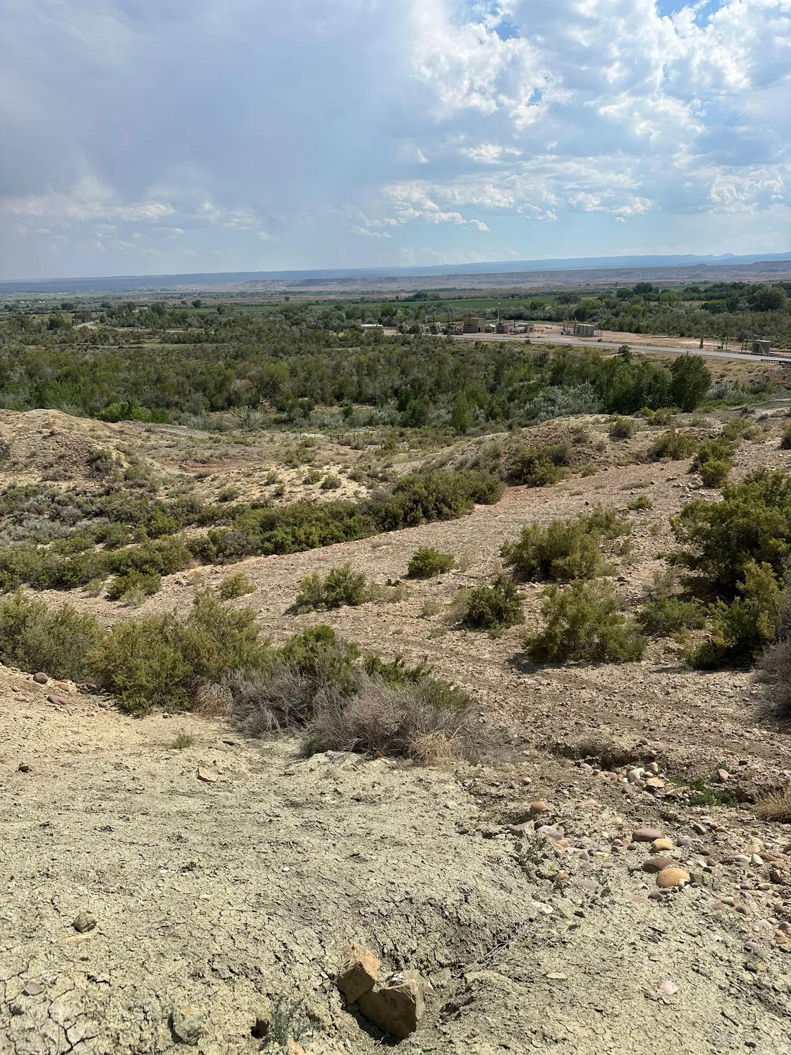 Expansive undeveloped terrain featuring arid landscape, scattered shrubs, and distant green vegetation