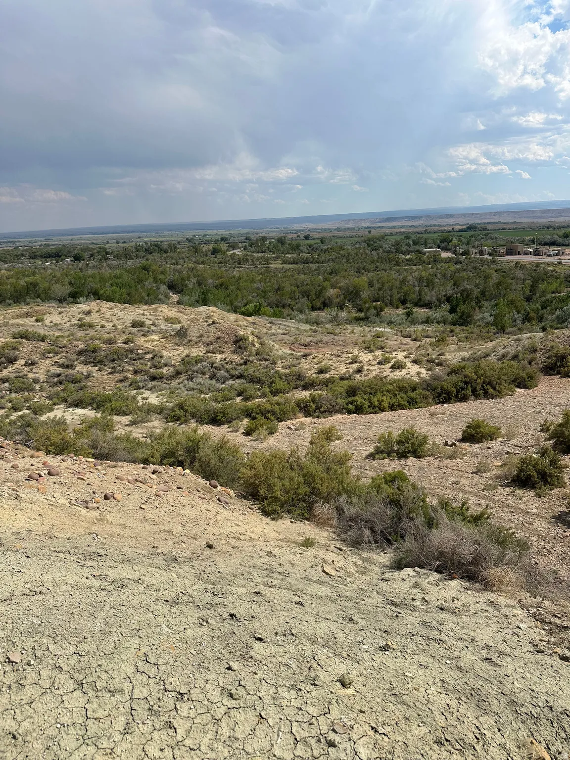 Expansive terrain featuring natural shrubbery and varied topography under a vast sky