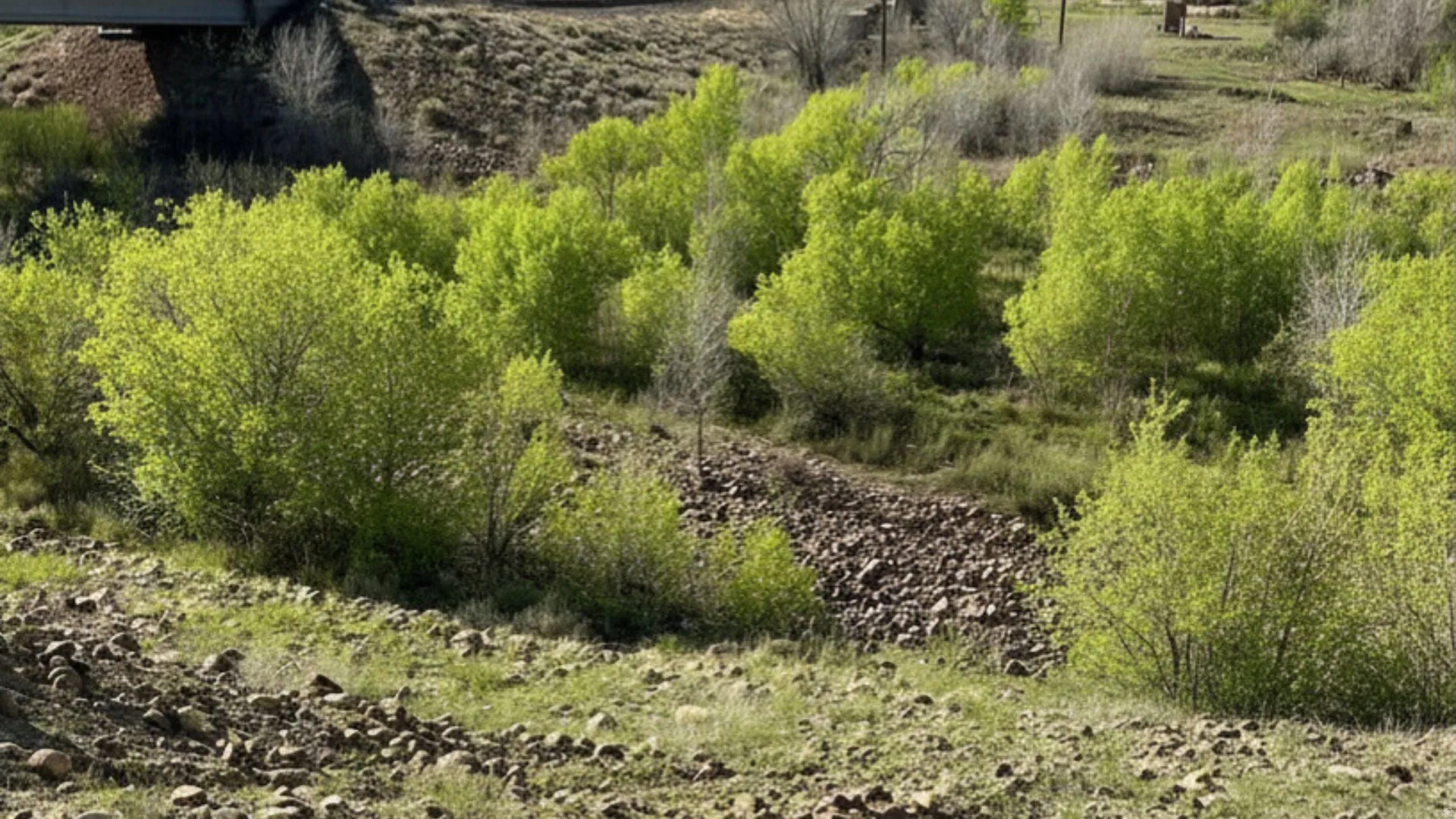 View of undeveloped land
