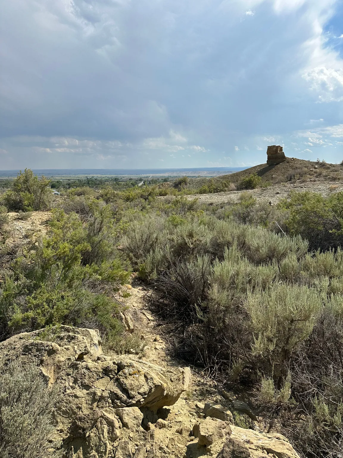 Expansive desert landscape featuring natural rock formations and varied scrub brush