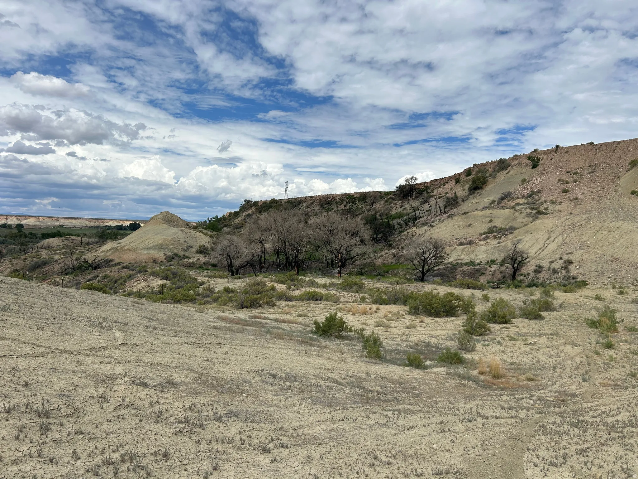 Expansive natural landscape featuring rolling hills and varied terrain