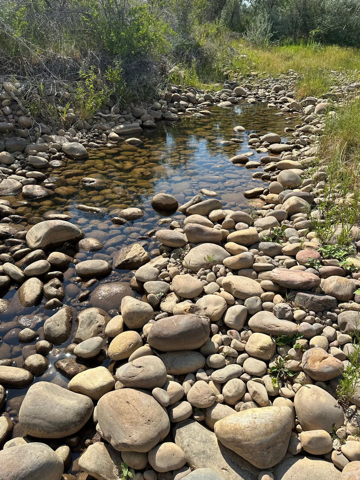 Natural stream featuring clear water, rounded river stones, and surrounding green foliage