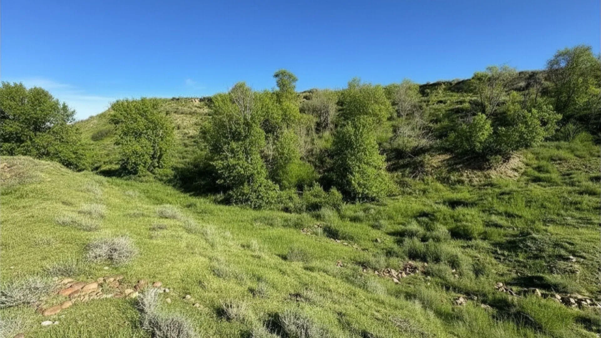 View of nature