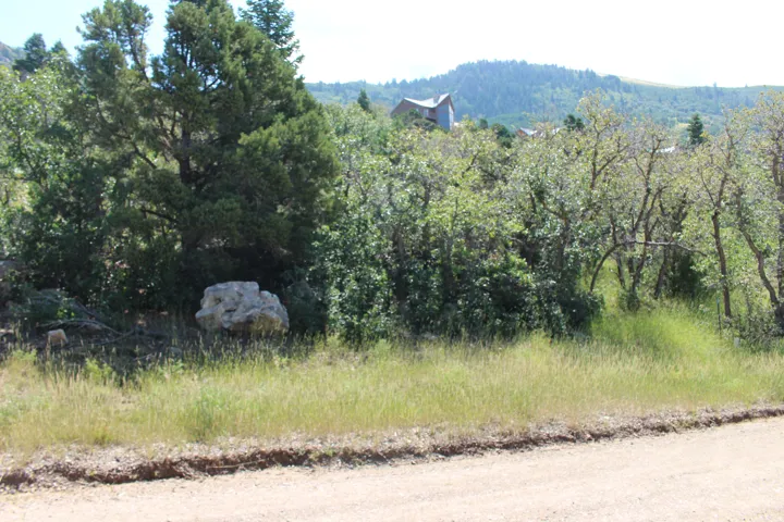 Natural landscape featuring a dirt road, varied green foliage, and distant hillside structures