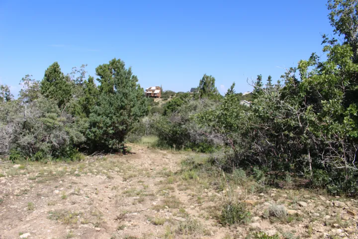 Expansive undeveloped land featuring diverse natural foliage and distant residential structures