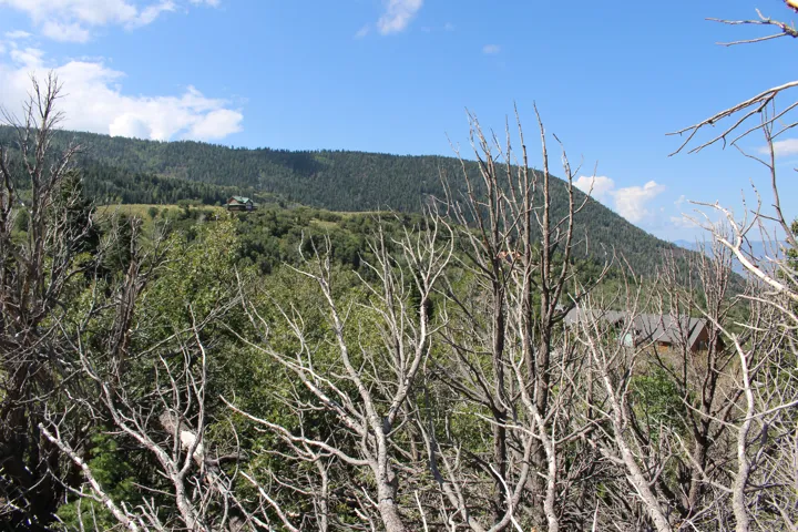 Mountainous landscape featuring dense tree coverage and distant structures