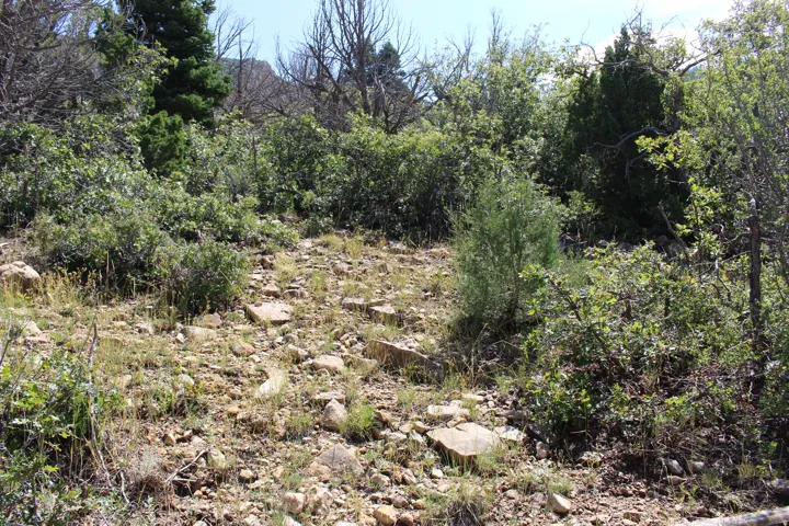 Natural terrain featuring varied rock formations and diverse shrubbery