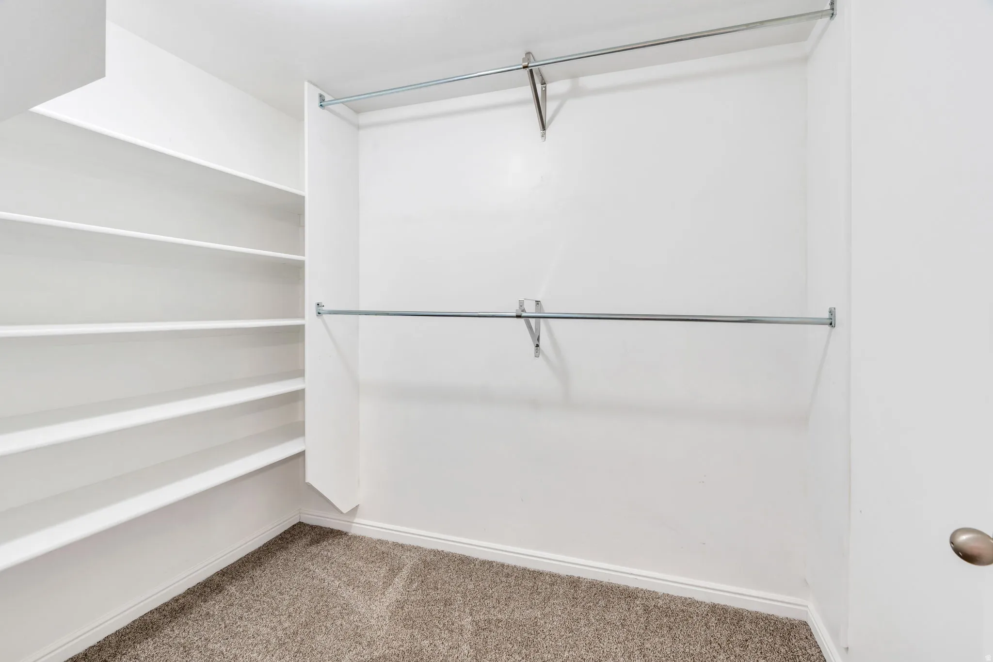 Walk in closet featuring light carpet