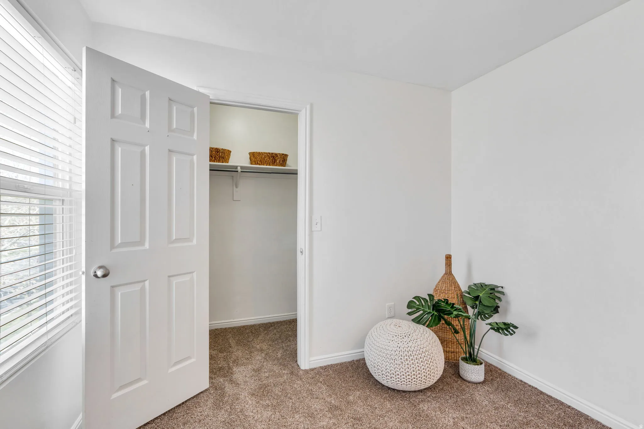 Bedroom with a spacious closet and light colored carpet