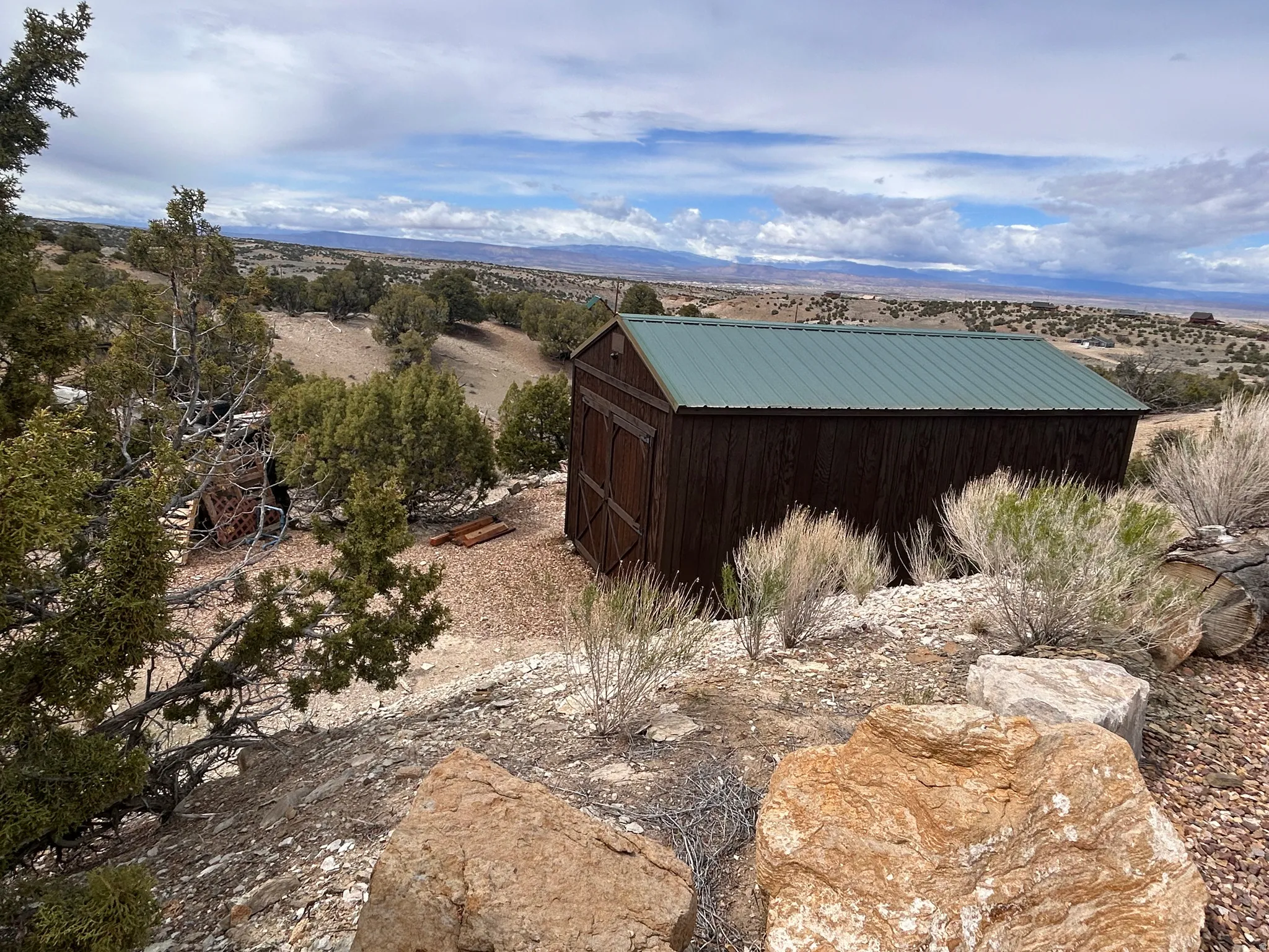 Detached outbuilding with dark wood-finish siding and a green metal roof