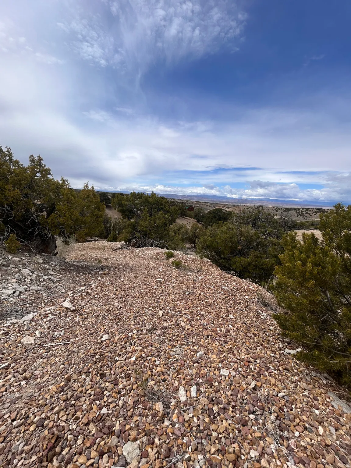 Expansive natural landscape featuring a gravel terrain and varied foliage