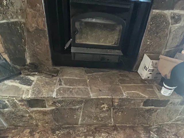 Stone hearth and fireplace with dark metal insert, complemented by wood-finish flooring and a textured area rug
