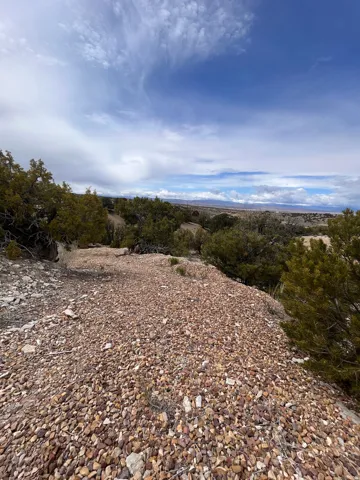 Expansive natural landscape featuring a gravel terrain and varied foliage