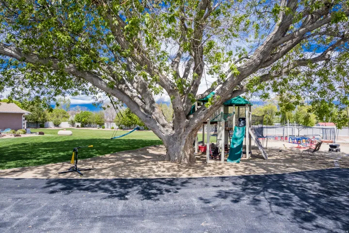 Expansive outdoor area featuring a mature tree providing shade, a dedicated play structure with a slide, an open grassy space, and a sand-covered ground surface