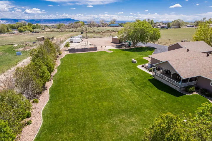Expansive green lawn with defined borders and mature trees