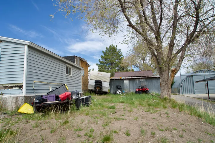 The backyard with shed.