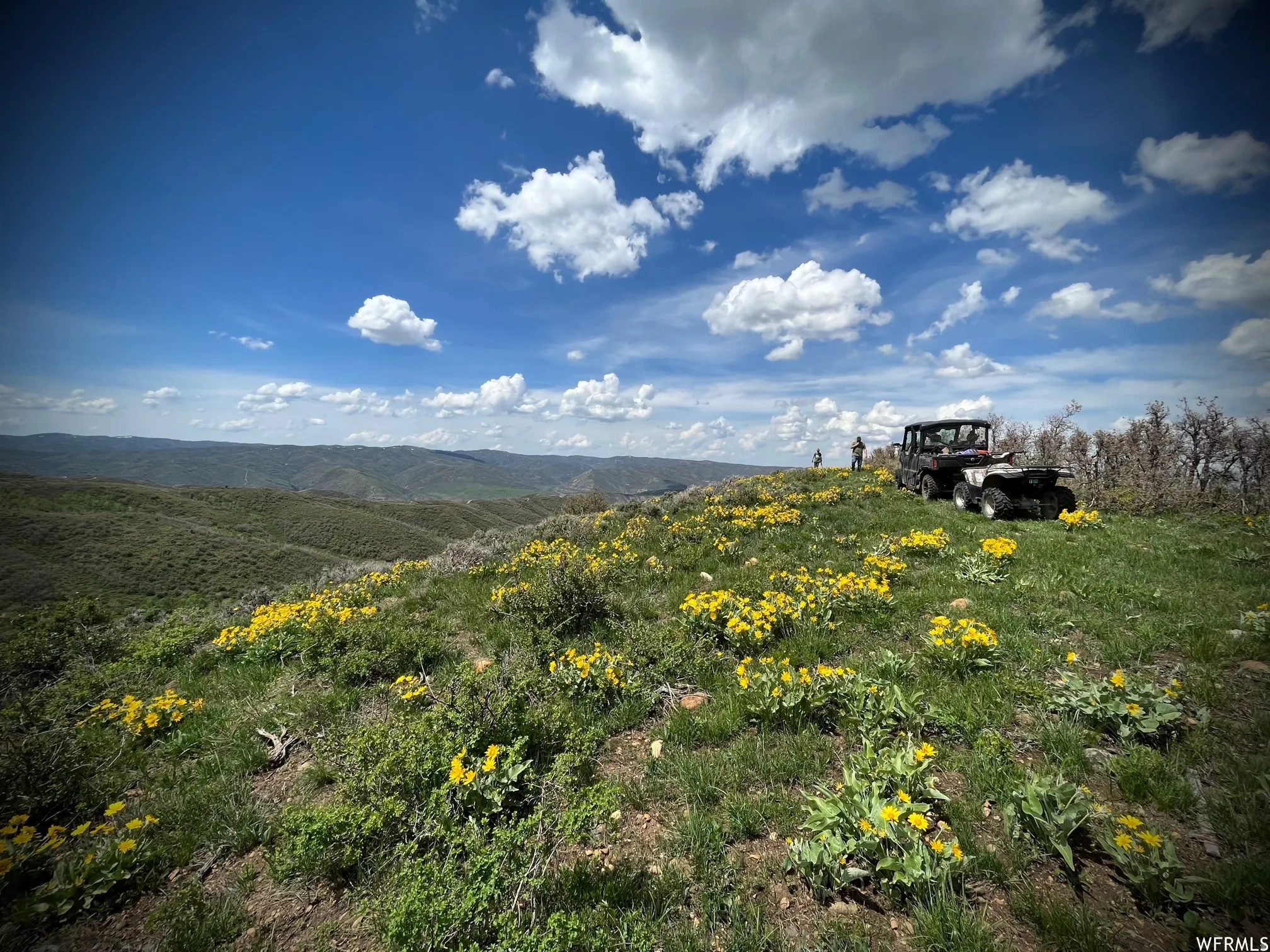 Expansive natural landscape featuring rolling hills and distant terrain under a bright blue sky with scattered clouds