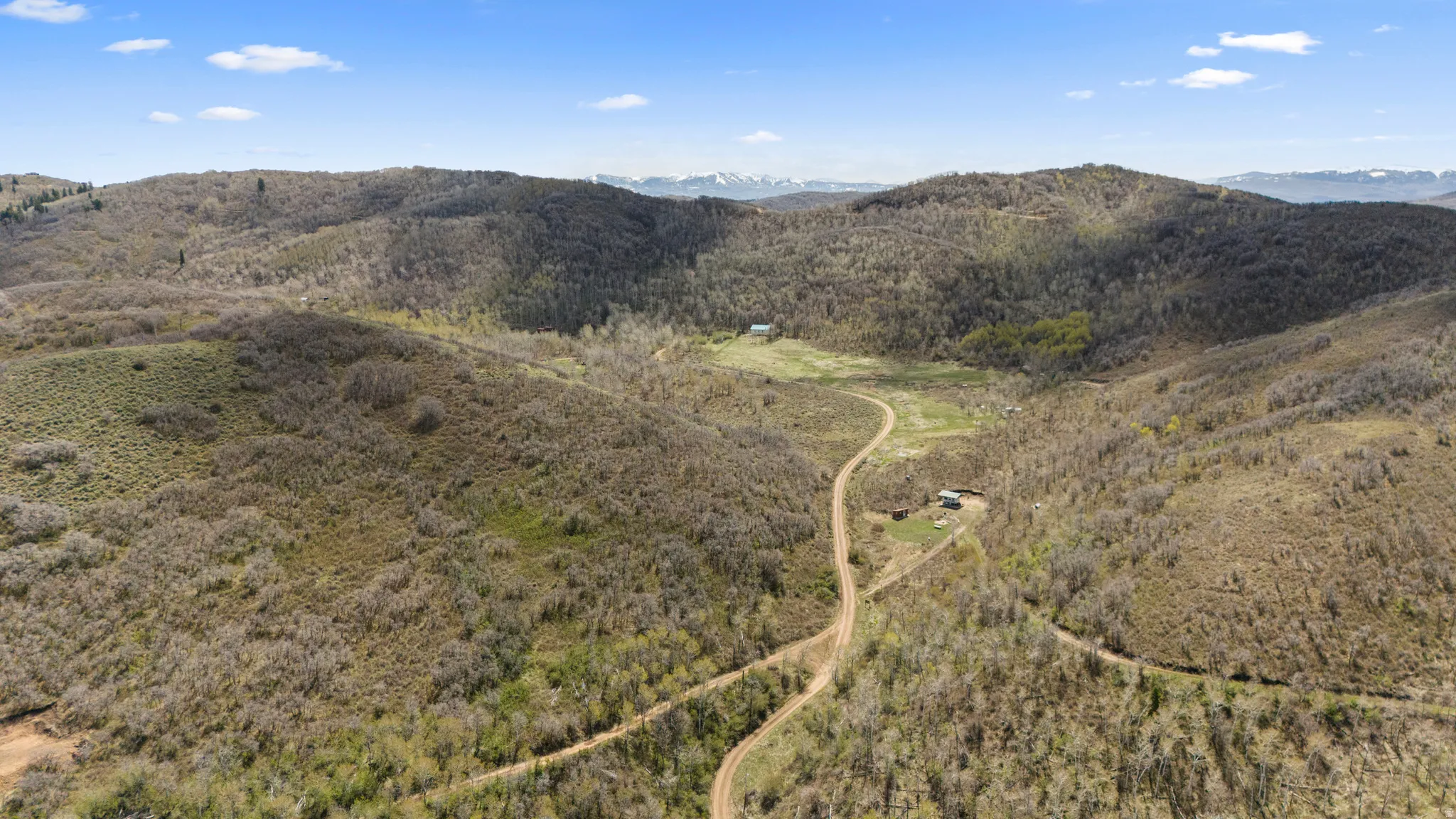 Expansive mountain property featuring rolling hillsides, diverse tree coverage, a natural clearing, and a visible unpaved access road
