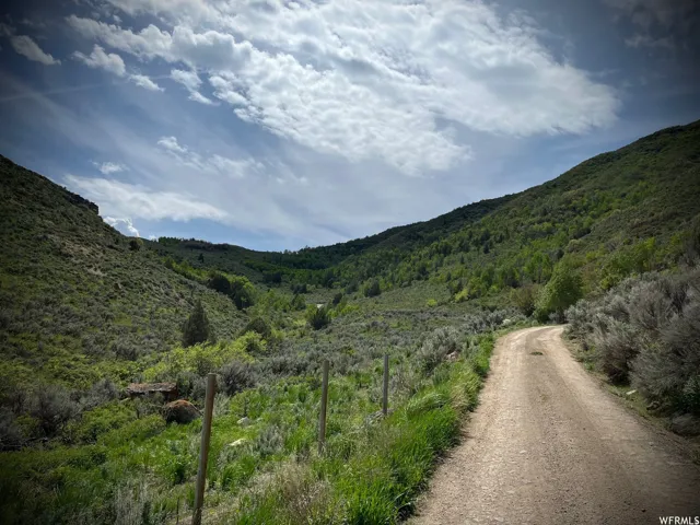 Gravel road extending into a verdant canyon with rolling hillsides