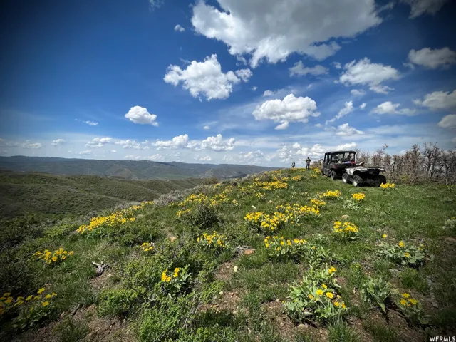 Expansive natural landscape featuring rolling hills and distant terrain under a bright blue sky with scattered clouds