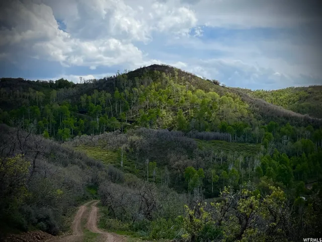 Expansive mountainous terrain featuring diverse tree cover and a winding dirt road