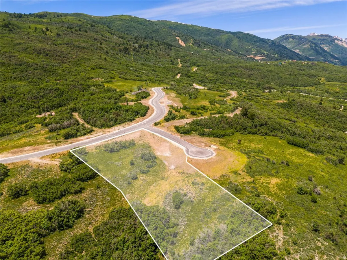 Aerial overview of property's location featuring property parcel outlined and a heavily wooded area