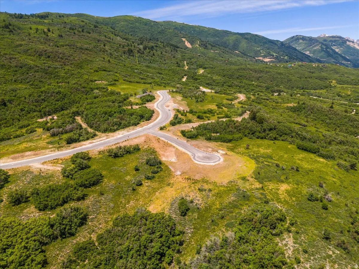 Drone / aerial view of a forest and mountains