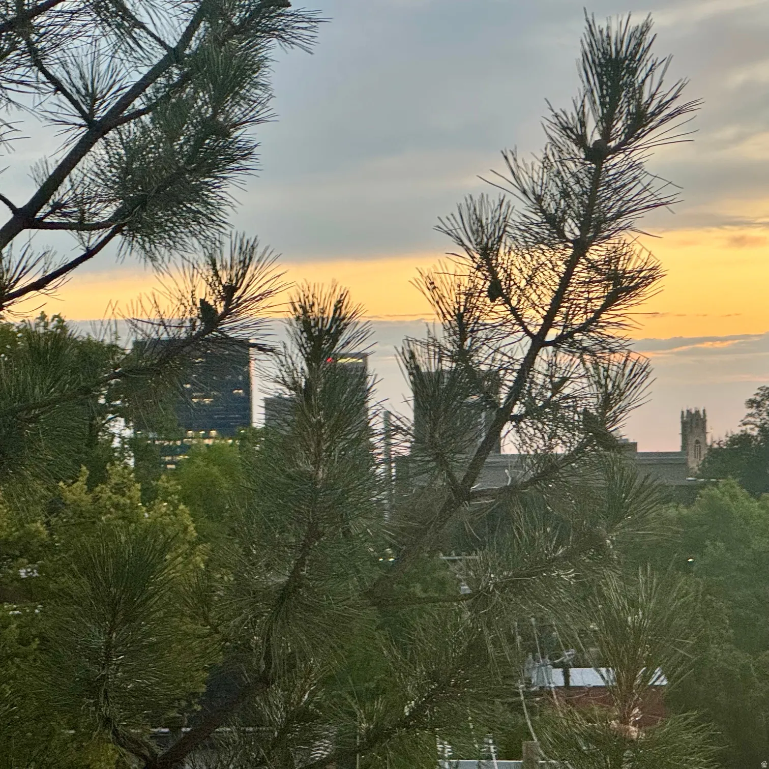Sunset/Downtown views from the balcony
