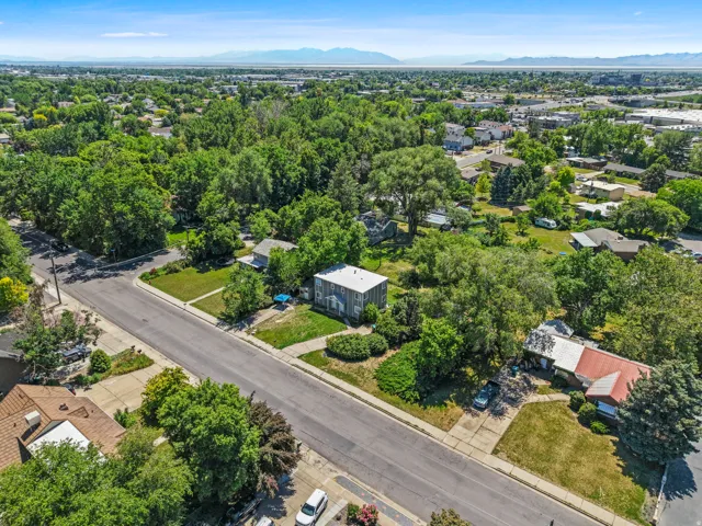 Aerial community perspective showcasing abundant mature trees and residential properties