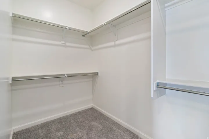 Walk-in closet with white walls, multi-level shelving, chrome hanging rods, and gray carpet flooring