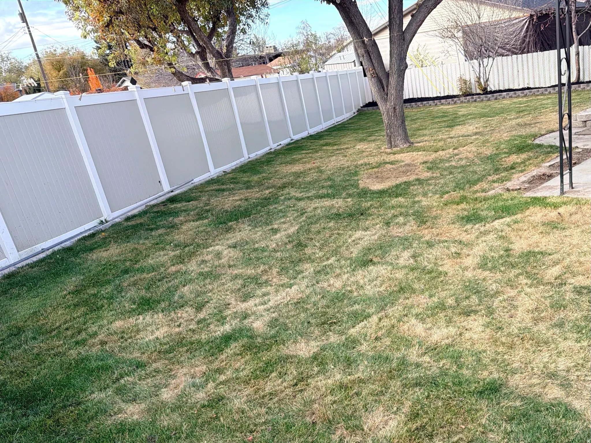 View of fenced backyard