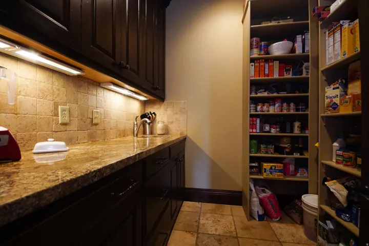 Kitchen pantry featuring dark wood-finish cabinetry, under-cabinet lighting, a stone tile backsplash, a stone countertop, and built-in shelving