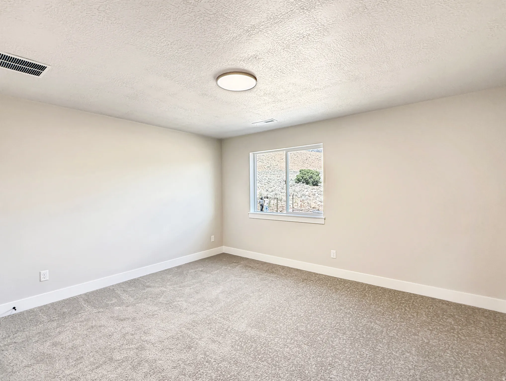 Spacious room featuring neutral carpeting, light-toned wall paint, crisp white baseboards, and a window with a mountain backdrop
