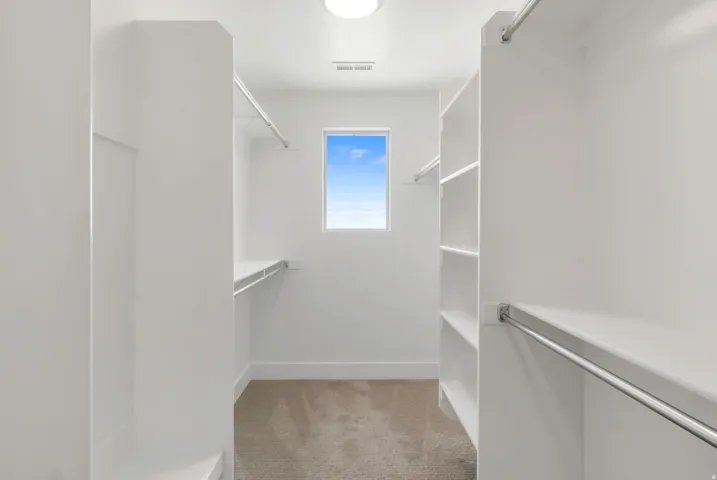 Walk-in closet with built-in shelving, chrome hanging rods, a window, and neutral carpeting