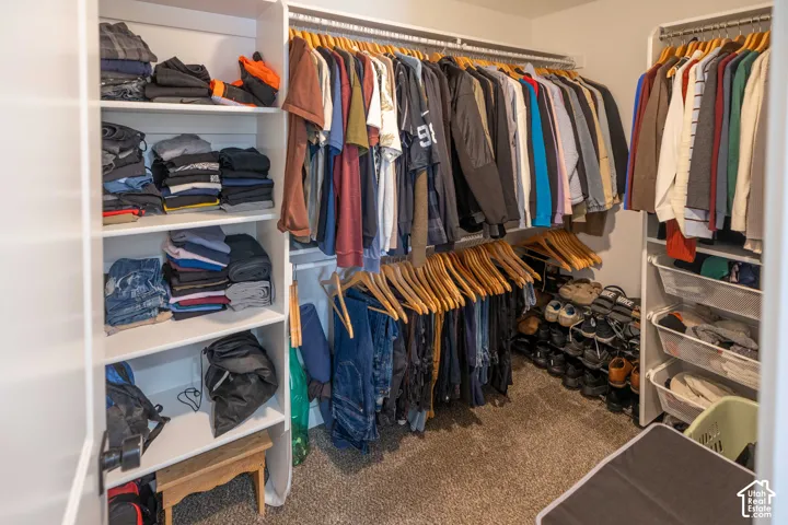 Walk-in closet with carpet
