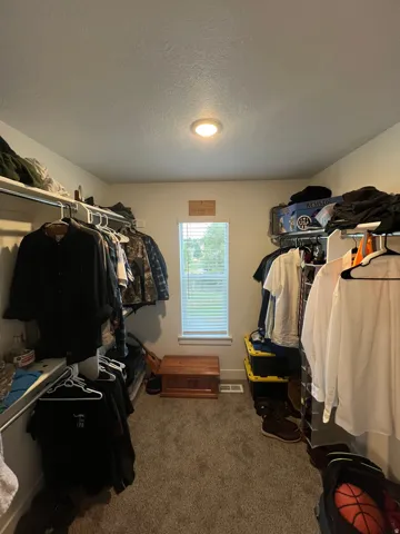 Carpeted closet with a centered window, overhead lighting, and built-in shelving and hanging rods