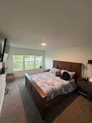 Carpeted room with multiple windows providing natural illumination