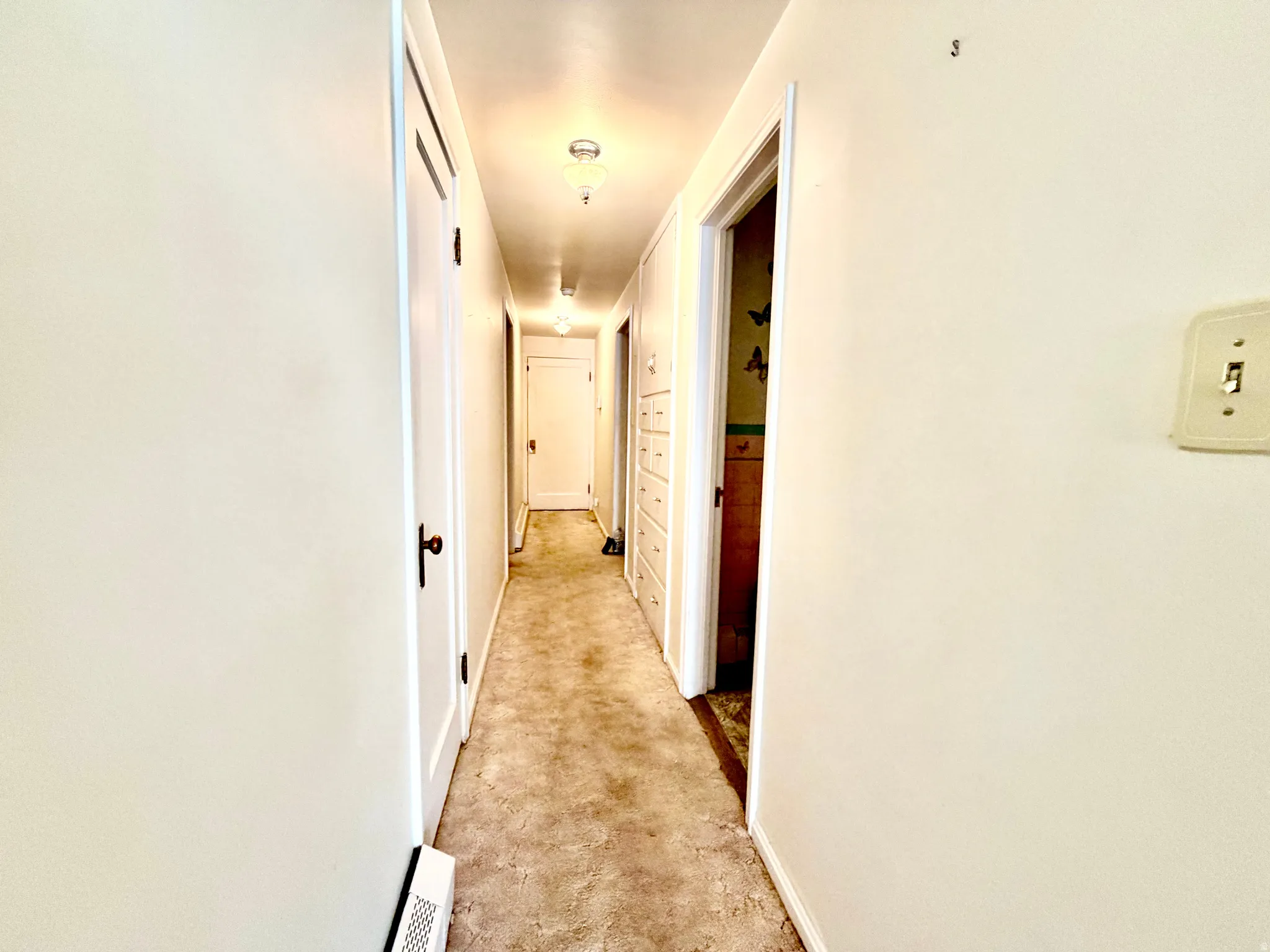 Hallway with neutral wall paint, overhead lighting fixtures, and a carpeted floor