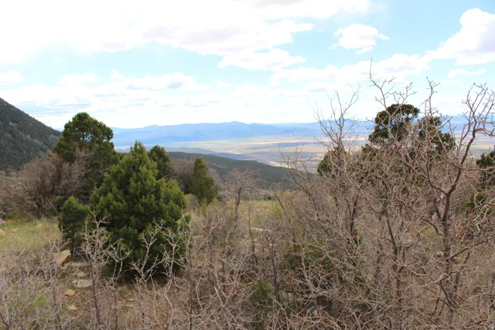Expansive mountain landscape featuring varied evergreen and deciduous trees, with a distant valley and mountain range under a partly cloudy sky
