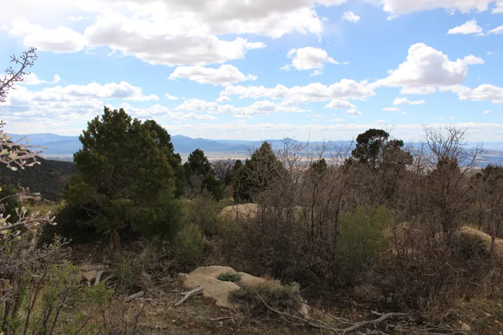 Expansive natural landscape featuring a mix of evergreen and deciduous trees, scattered rock formations, and distant mountain ranges under a partly cloudy sky