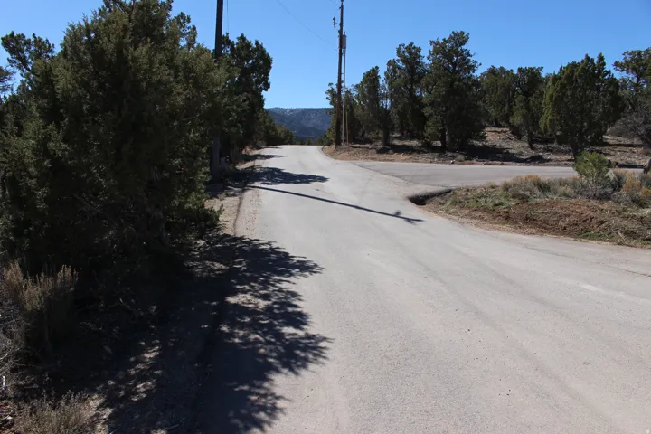 Paved road offering access to property, surrounded by mature trees and natural vegetation