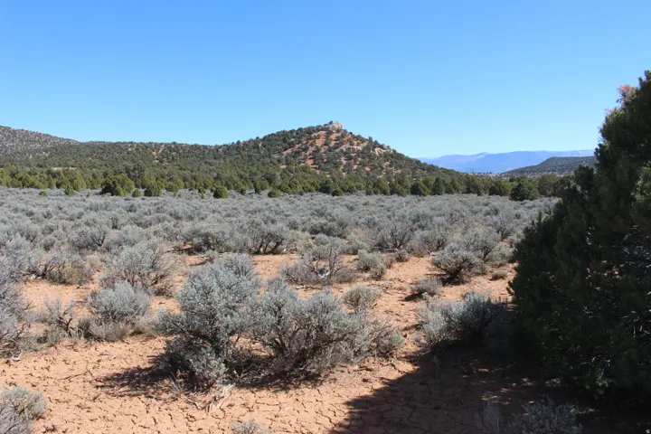 Expansive desert landscape featuring natural foliage, rugged terrain, distant mountains, and a clear sky