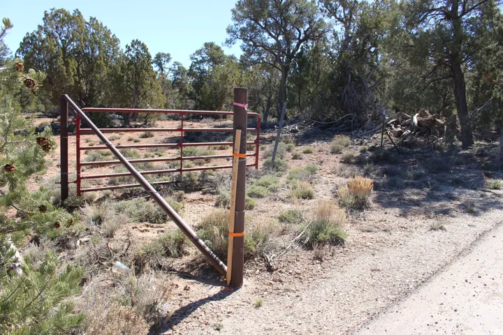 Red metal gate entrance with a gravel road frontage, surrounded by mature evergreen trees and natural desert foliage