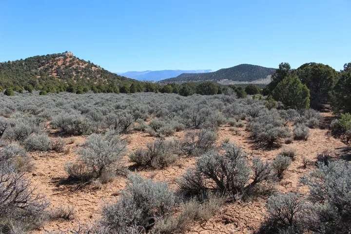 Expansive natural landscape featuring desert brush and distant hills