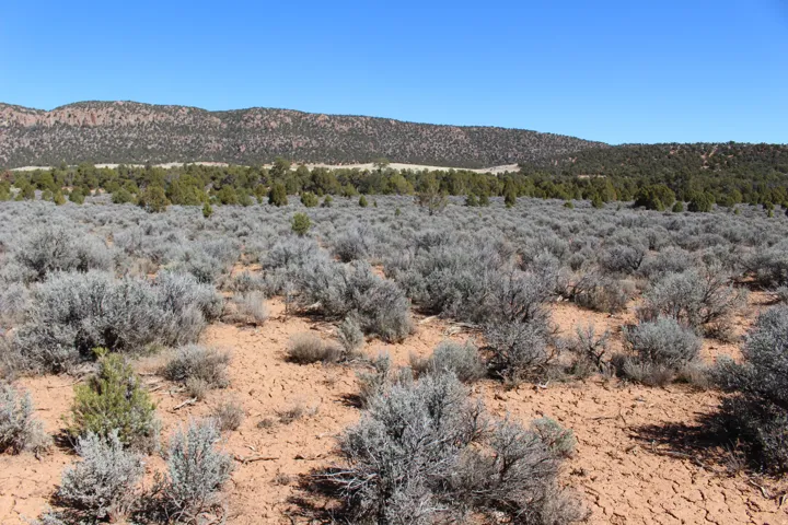 2362 N 11900 W, Cedar City, Utah 84720
