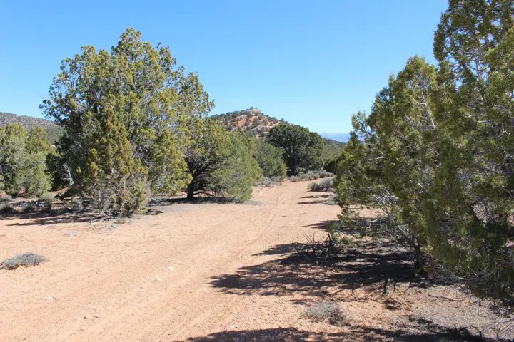 Expansive undeveloped land featuring a natural desert landscape with mature juniper trees
